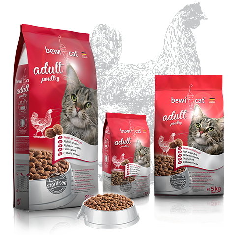 adult poultry adult poultry